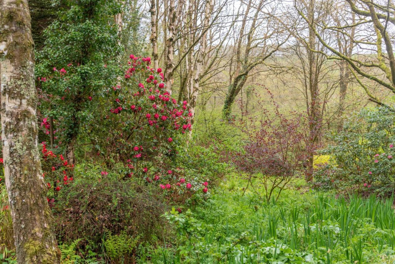 Bed and Breakfast Nutsford House Dulverton Exterior foto