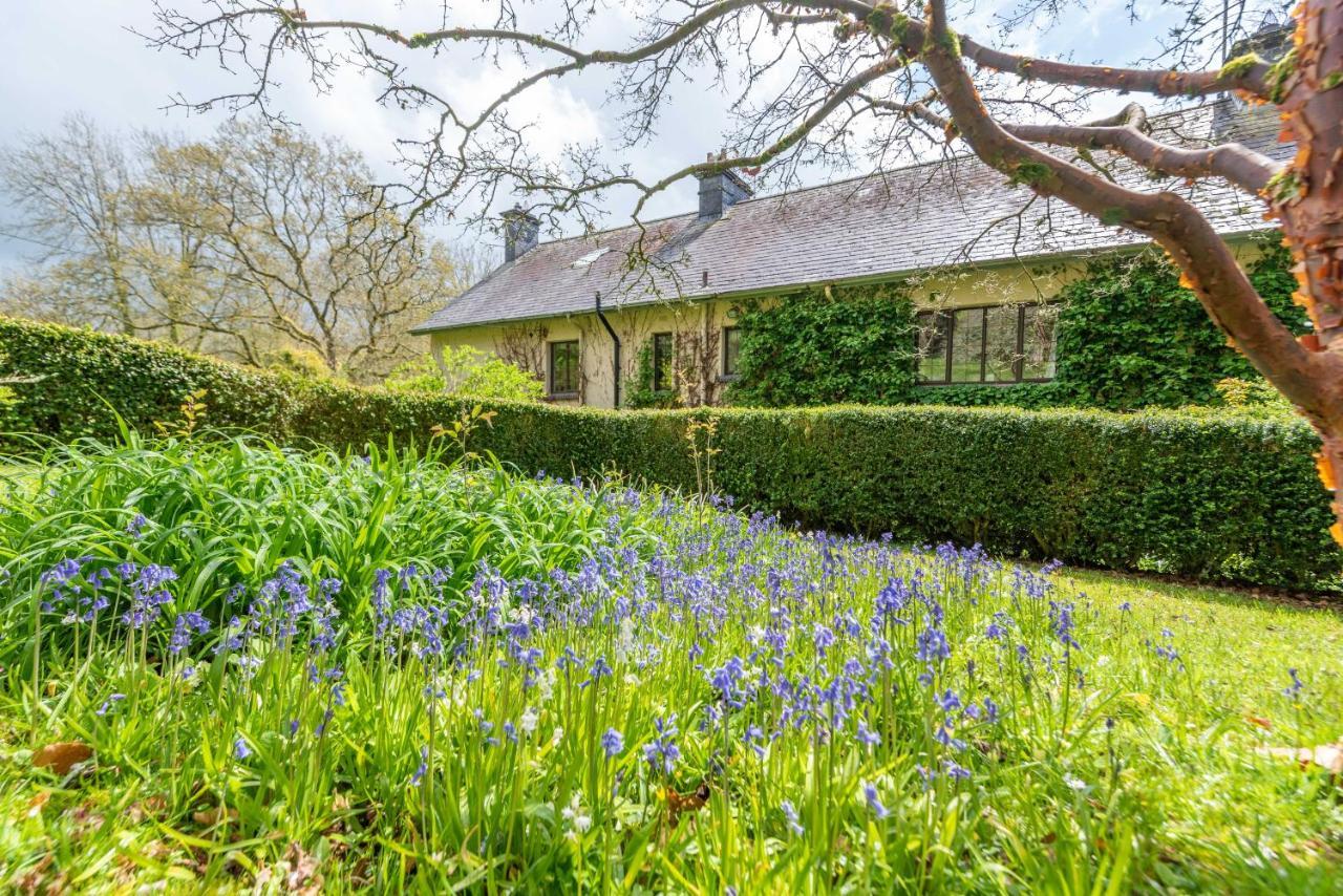 Bed and Breakfast Nutsford House Dulverton Exterior foto