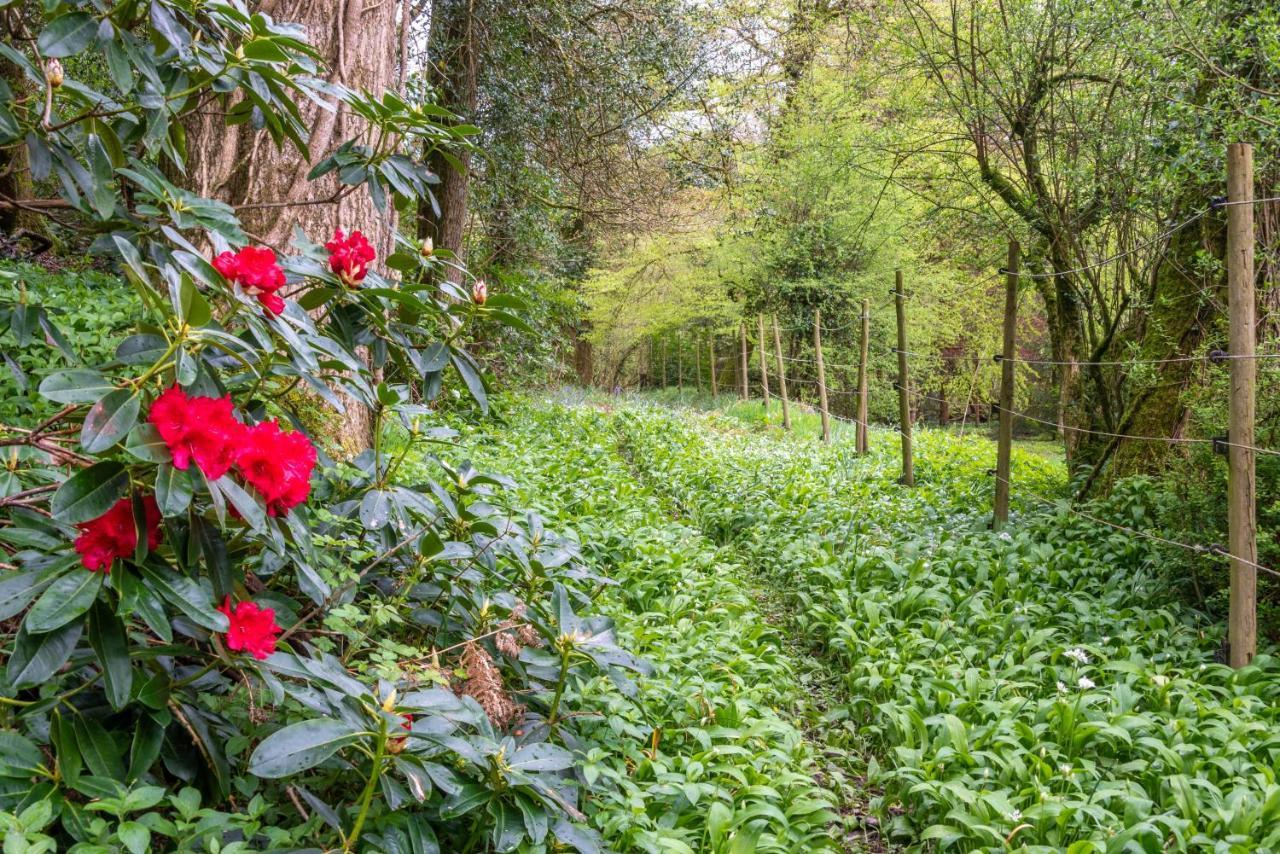 Bed and Breakfast Nutsford House Dulverton Exterior foto